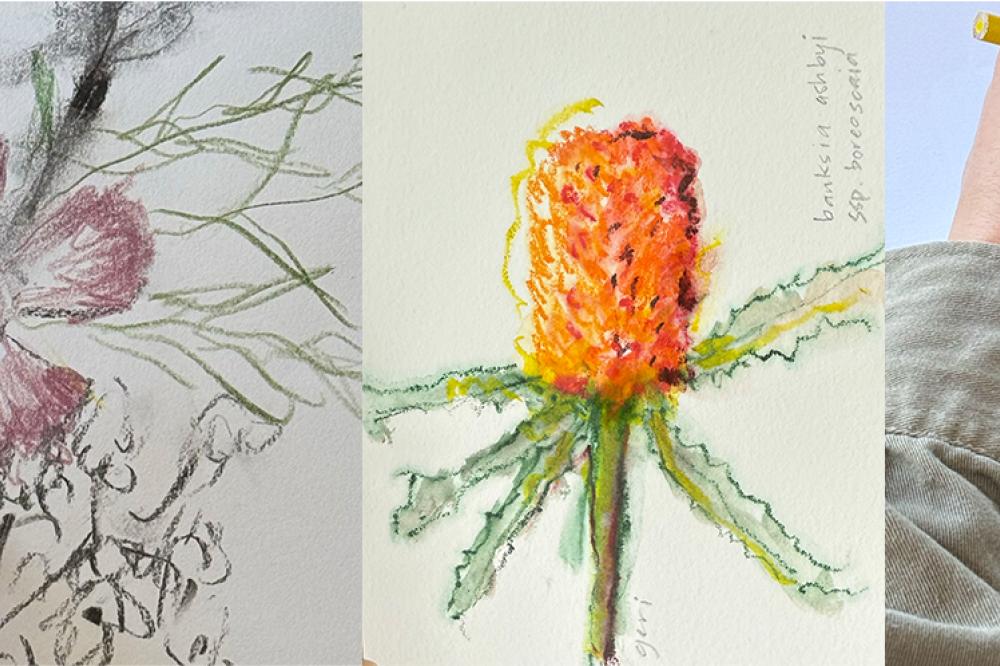 Geri Barr drawing workshop