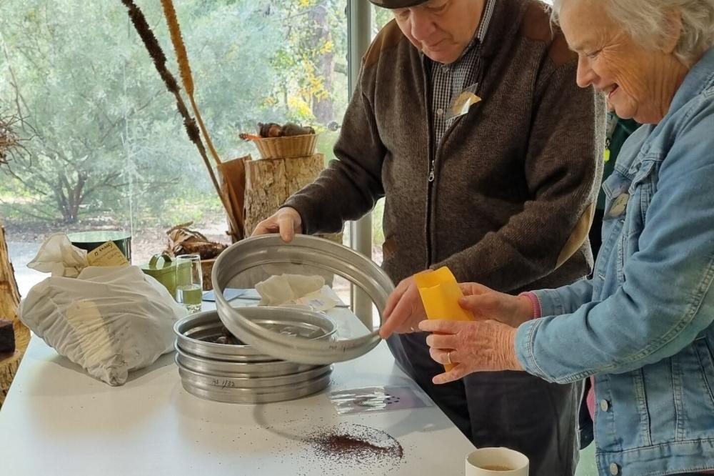 Wellness in Kings Park