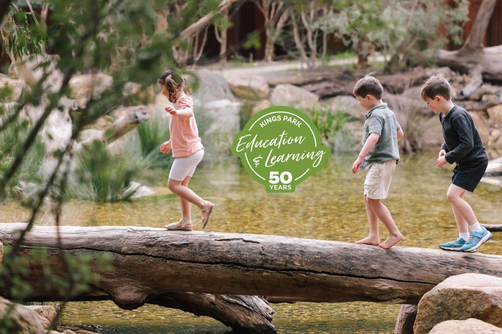 Naturescape 50 years