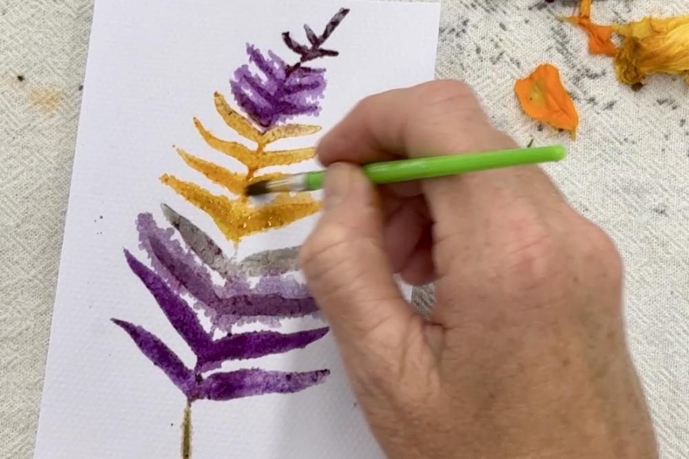 Natural Dyeing & Botanical Art Workshop