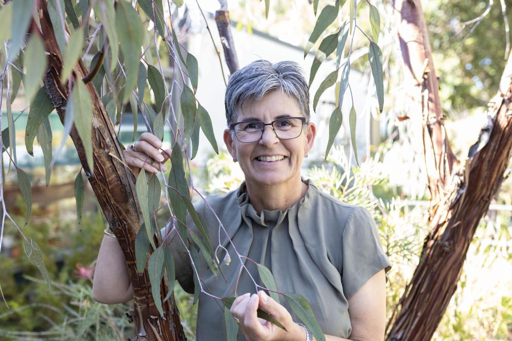Sue McDougall Sue McDougall