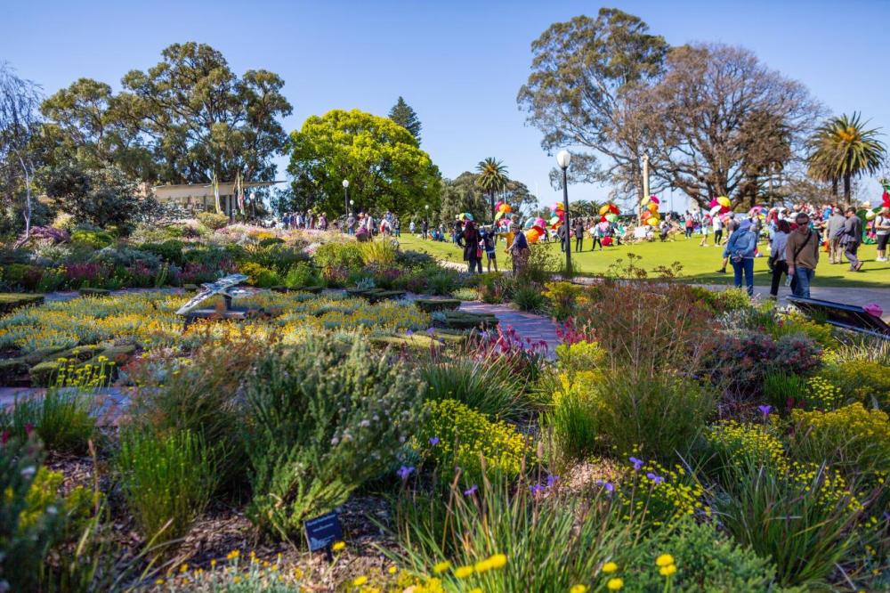 Everlasting Kings Park Festival