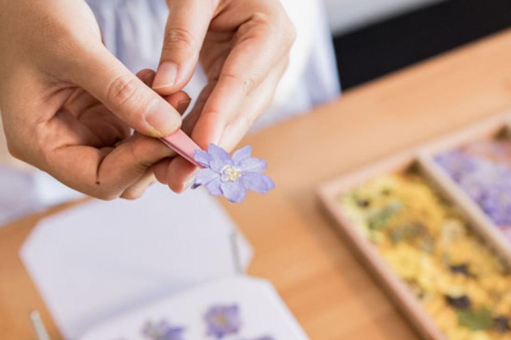 Flower Pressing Flower Pressing