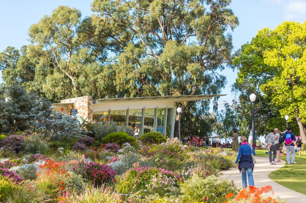 Aspects and the mound from the WA Botanic Garden entrance