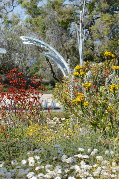 WA Botanic Garden entry from the mound