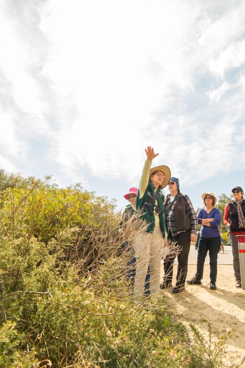 A volunteer guide speaking to a group of Bold Park visitors.