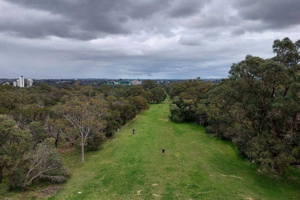 Kings Park