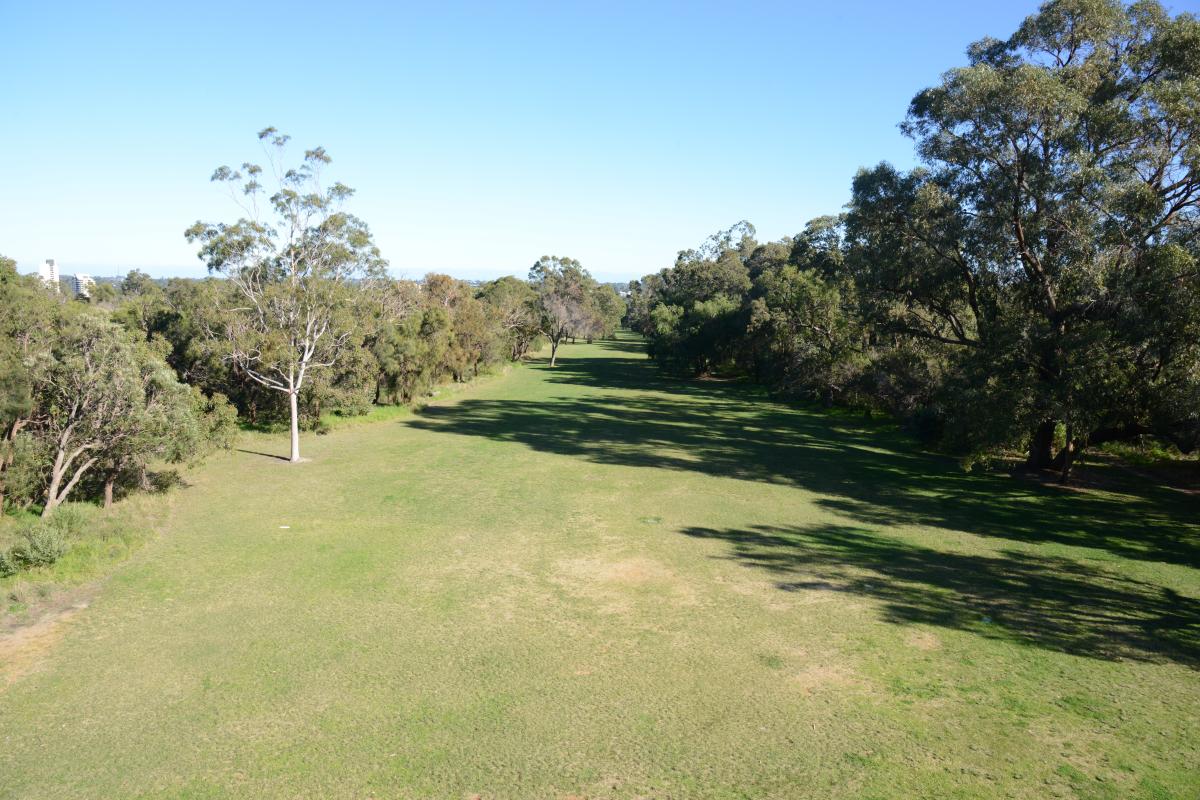 Broadwalk Vista is a long thin expanse of lawn between the DNA tower and May Drive Parkland.