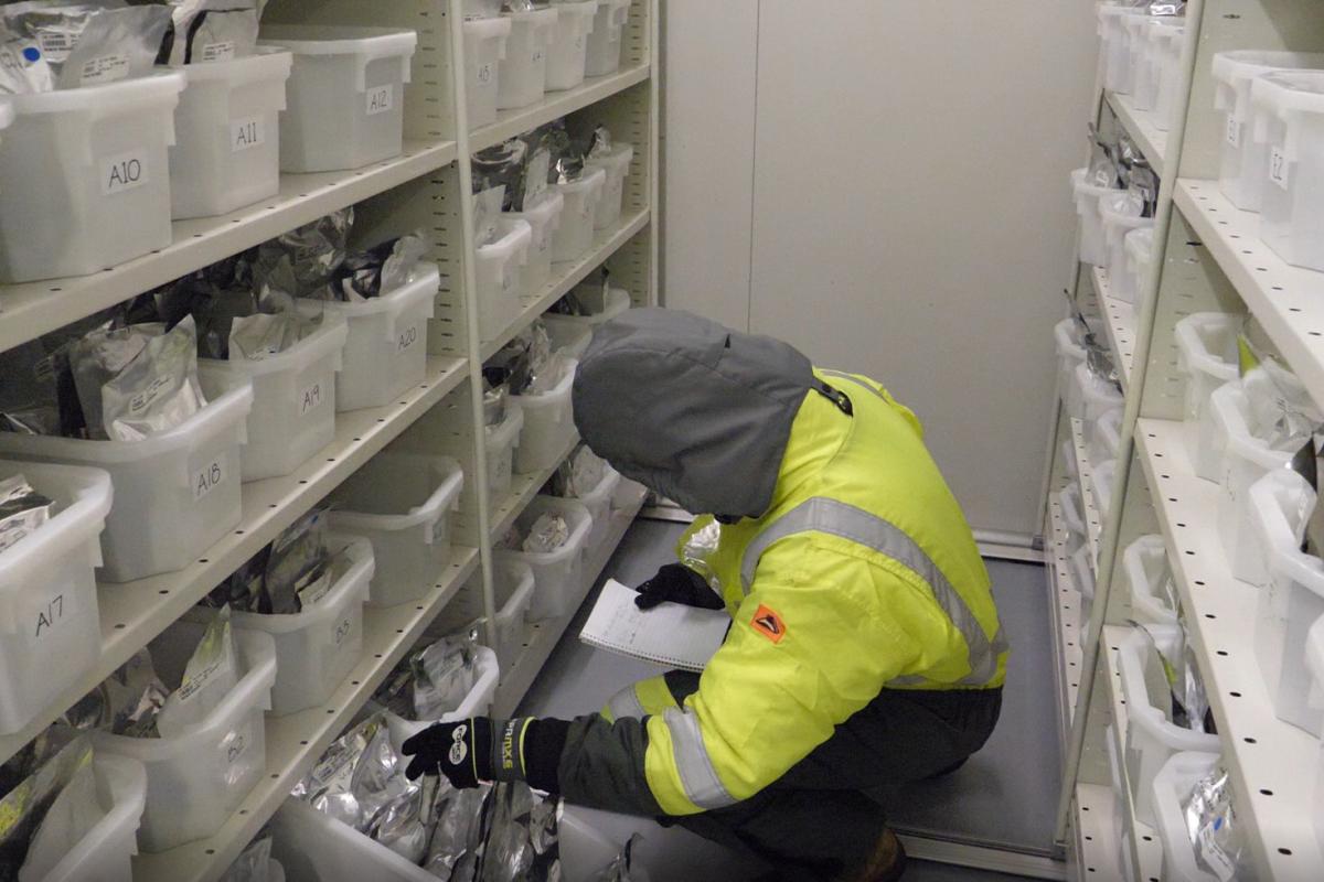 Scientist looking for seed in the seedbank freezer.