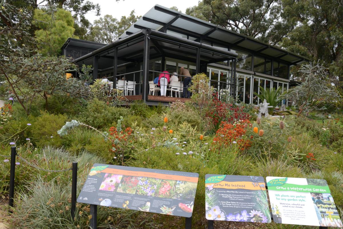 The Backyard Botanicals bed is located at May Drive Parkland outside Zamia Cafe.