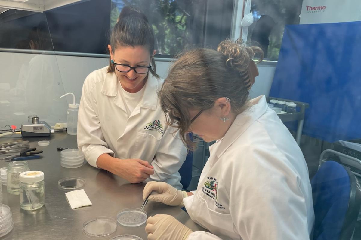 Supervisor, Emma Dalziell, and student, Rebecca Jonas complete lab work.