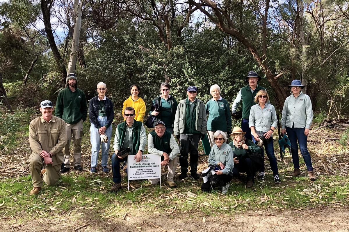 Group of volunteers