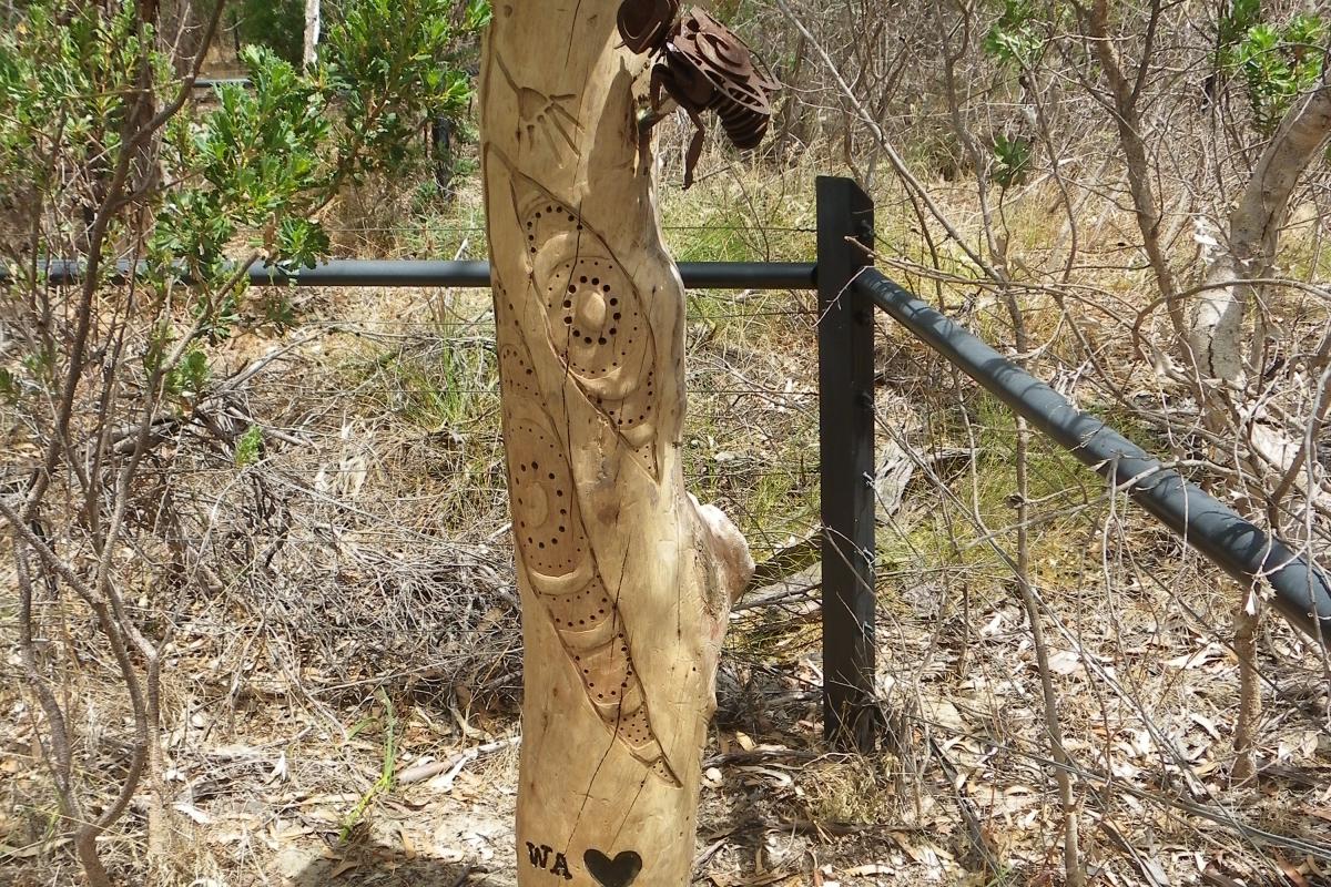 Rio Tinto Naturescape Kings Park Bee Hotel