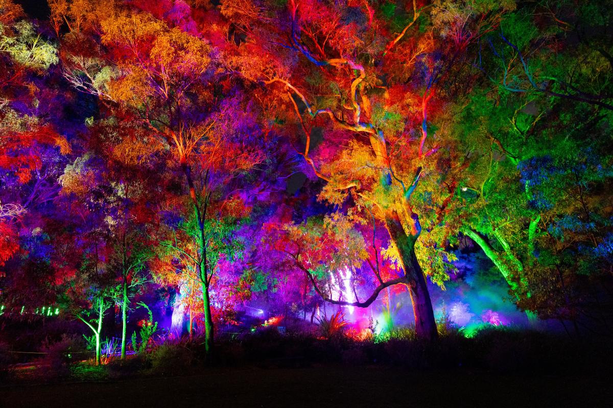 Lightscape 2026 Masterworks Lightscape 2026 Masterworks