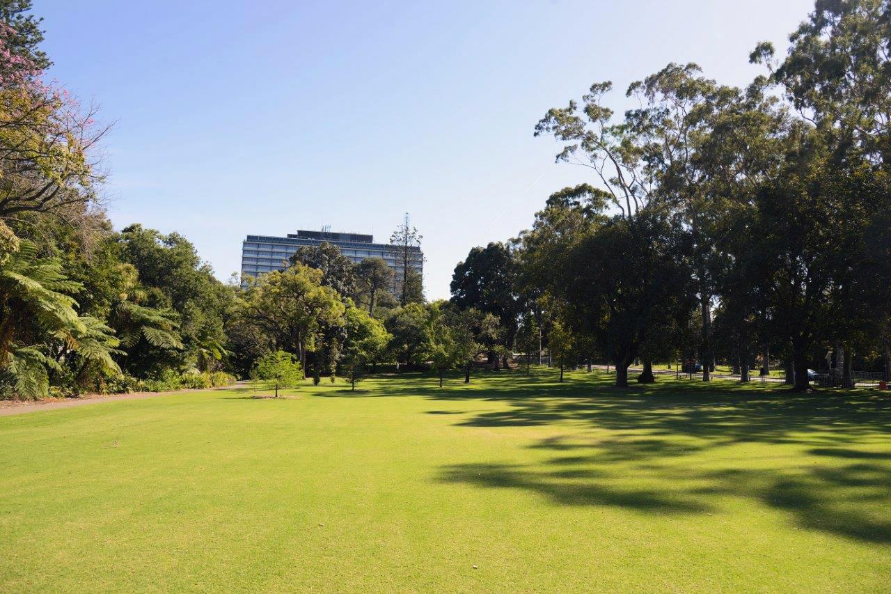 Fraser Avenue Lawn North Kings Park