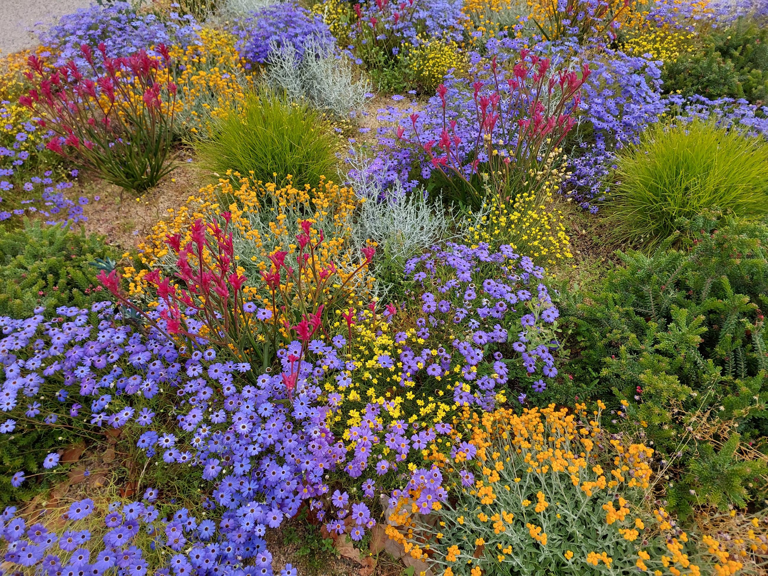 Western Australian Botanic Garden | Kings Park