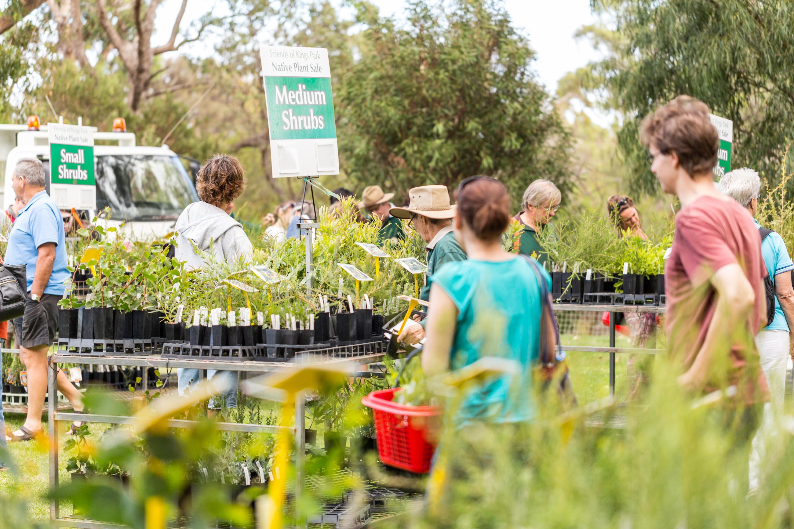 Friends of Kings Park Plant Sale Kings Park