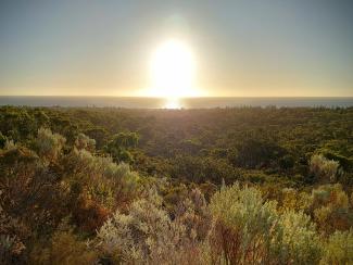 Ocean view from Bold Park just before sunset