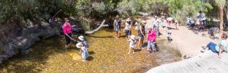 Children playing in the Paperbark Waterhole.