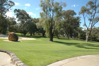 Peppermint Lawn is a large expanse of lawn near the Pioneer Women's Memorial in the WA Botanic Garden