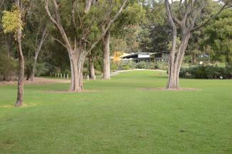 Sheoak Lawn is tucked away near Zamia cafe at May Drive Parkland.