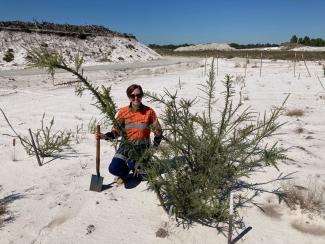 PhD student Vanessa at a Banksia Woodland restoration site.