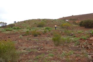 Person walking on a restoration site.