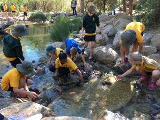 School children in a creek.