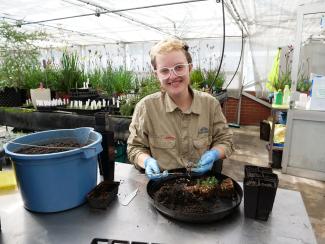 Horticultural trainee at Kings Park.