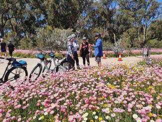 Bike tour in Kings Park