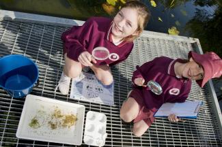Children complete an education activity at the Wetlands in Naturescape