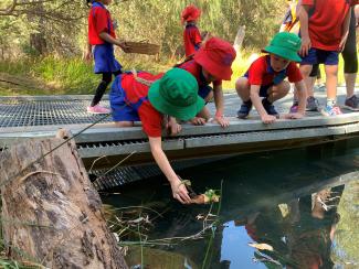 Nature Boat Building