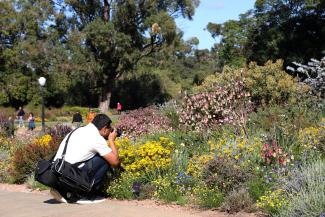 Photographer in the botanic garden.