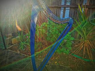 A harp nearby a garden.