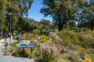 A garden bed in the Western Australian Botanic Garden.