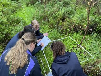 School children studying a quadrat in the bush.