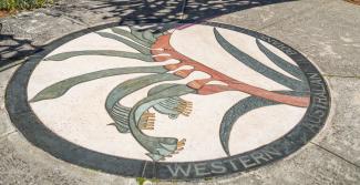 Kangaroo Paw art at the entrance of the WA Botanic Garden