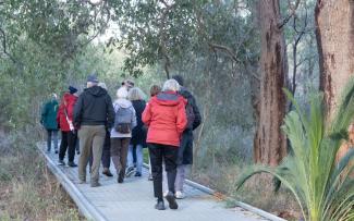 Wildflowers and Bushland