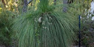 Rich Bushland Resources