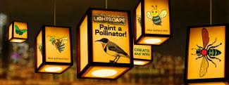 Lightscape_Pollinators