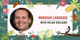 Dylan Collard 
