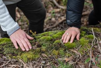 Forest Bathing