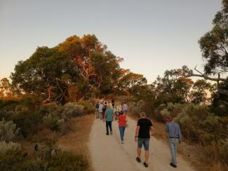 Tree Explorer Walk