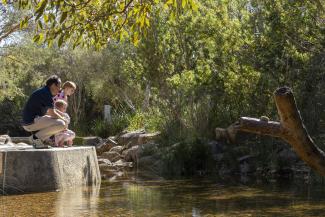 Family looking at creek in Naturescape