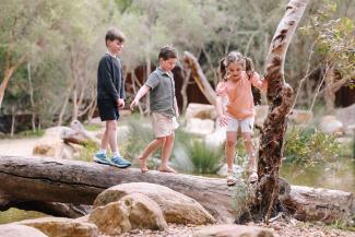 A Big Adventure In Kings Park