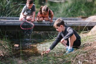 Nature Boat Building