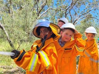 Tawny and the Bushfire