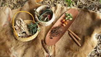 Kaarta Koomba Kaatitjiny 