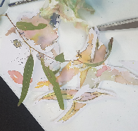 Natural Pigment Watercolour