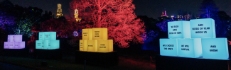 poetry cubes 2